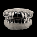SOLID GRILLZ